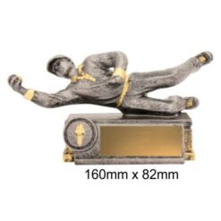 Cricket Diving Fielder