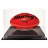 Acrylic Display Case – Oval Ball