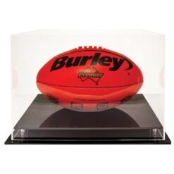 Acrylic Display Case – Oval Ball
