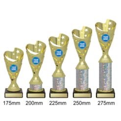 Alternative view of Arcade Cup - Gold/Silver (5 Sizes)