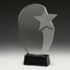 Recognition Star Award