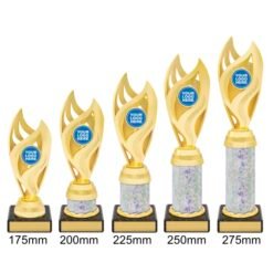 Alternative view of Vision Cup - Gold/Silver (5 Sizes)