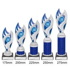 Alternative view of Vision Cup - Silver/Blue (5 Sizes)