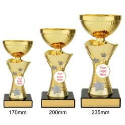 Alternative view of Wayfinder Cup - Gold (3 Sizes)