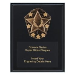 Cosmos Super Plaque Star ( 3 Sizes )