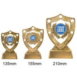 Alternative view of Achievement Gold Shield (3 sizes)