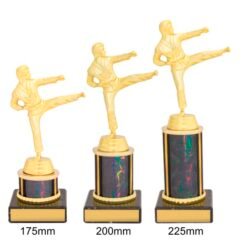 Alternative view of Black Dazzle Martial Arts  (3 Sizes)