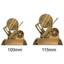 Alternative view of Cricket Budget Icon (2 Sizes)