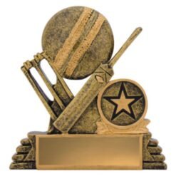 Cricket Budget Icon (2 Sizes)