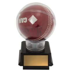 Cricket Ball Holder 125mm