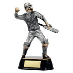 Cricket Celebration (3 Sizes)