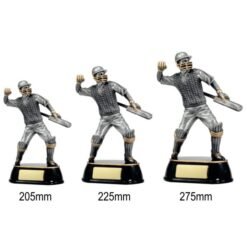 Alternative view of Cricket Celebration  (3 Sizes)