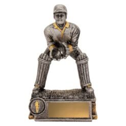 Cricket Wicketkeeper