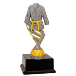 Silver Martial Arts Trophy  (3 Sizes)