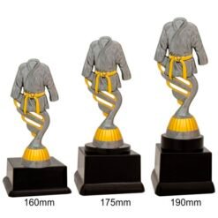 Alternative view of Silver Martial Arts Trophy  (3 Sizes)