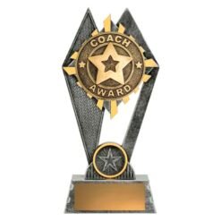 Peak Coach Award 180mm