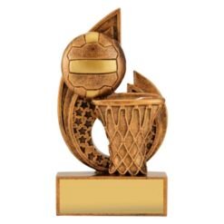 Netball Pulse Trophy (3 Sizes)