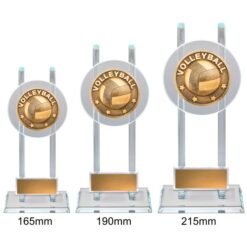 Alternative view of Spartan Glass Volleyball (3 Sizes)
