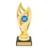 Vision Cup - Gold/Silver (5 Sizes)