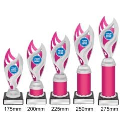Alternative view of Vision Cup - Silver/Pink (5 Sizes)